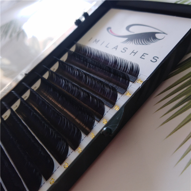 High Quality Lash Tray.jpg